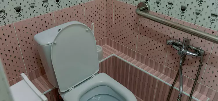 Meeting Diverse Needs With Accessible Restroom Solutions in Inglewood, CA